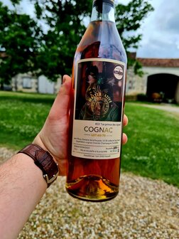 cognac #22 &quot;Le prince des vignes&quot; (Lot 60/70) - Malternative Belgium - 43,1% - 70cl