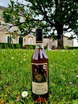 cognac #22 &quot;Le prince des vignes&quot; (Lot 60/70) - Malternative Belgium - 43,1% - 70cl