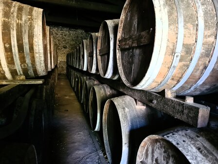 cognac #24 &quot;Le  Vaillant&quot; (Lot 76) - Malternative Belgium - 48,1% - 70cl