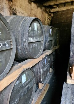 3 cl - cognac #30 &quot;La D&eacute;couverte&quot; (Lot 77 FB) - Malternative Belgium (Marie Foucher) - 51,74% 