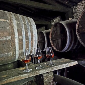 cognac #42 &quot;Le Lion Sage&quot; (Lot 75) - Malternative Belgium (Laurichesse) - 50.4% - 3cl