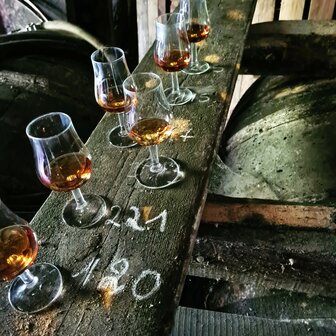 cognac #42 &quot;Le Lion Sage&quot; (Lot 75) - Malternative Belgium (Laurichesse) - 50.4% - 70cl