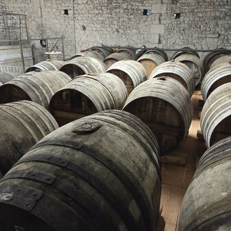 cognac #45 &quot;Le Baladeur&quot; (Lot 79) - Malternative Belgium (Fran&ccedil;ois Voyer) - 50,4% 70cl