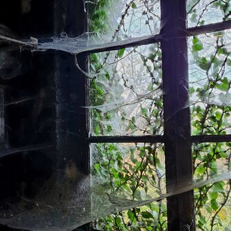 calvados #4 "Le Bouc" (1973) - Malternative Belgium (Giard) - 45% 70cl