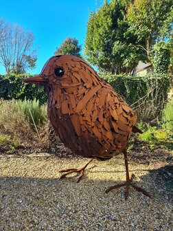 cognac #50 "Les Tarins Verts" (1985) - Malternative Belgium (Delamain) - 51% - 70cl