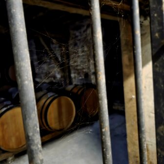 cognac #50 "Les Tarins Verts" (1985) - Malternative Belgium (Delamain) - 51% - 70cl