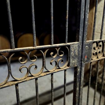 cognac #50 "Les Tarins Verts" (1985) - Malternative Belgium (Delamain) - 51% - 70cl