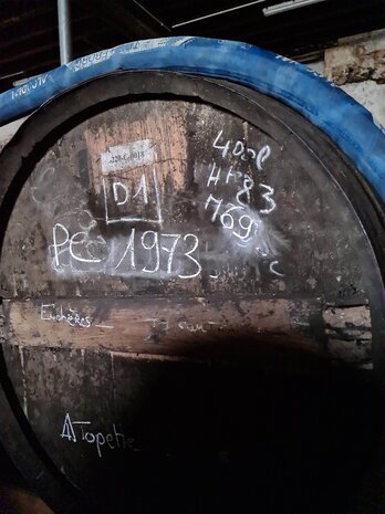cognac #LBV2 Les Bons Vivants-  Lot°73 - Malternative Belgium & Asta Morris - 53,6%