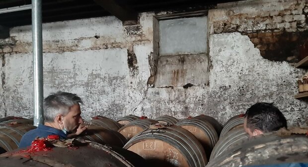 cognac #LBV2 Les Bons Vivants-  Lot°73 - Malternative Belgium & Asta Morris - 53,6%