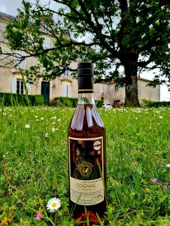 cognac #22 "Le prince des vignes" (Lot 60/70) - Malternative Belgium - 43,1% - 70cl