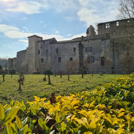 Armagnac #1 "Le Gers Majeur" (1976) - Malternative Belgium (Pébérère) - 49,6 % 70cl