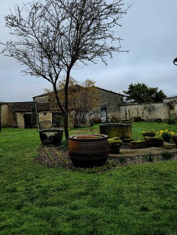 cognac #48 "Le Prullepie" (Lot 79 FB) - Malternative Belgium (Marie Foucher) - 54,1% 70cl