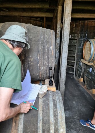 cognac #48 "Le Prullepie" (Lot 79 FB) - Malternative Belgium (Marie Foucher) - 54,1% 3cl