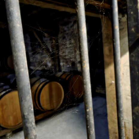 cognac #50 "Les Tarins Verts" (1985) - Malternative Belgium (Delamain) - 51% - 70cl