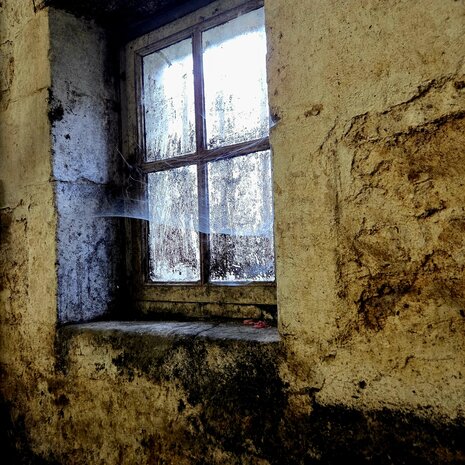 cognac #50 "Les Tarins Verts" (1985) - Malternative Belgium (Delamain) - 51% - 70cl